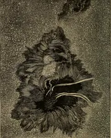 An illustration from Lessons in astronomy including uranography. A brief intoductory course without mathematics (1896)