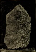 An illustration from Lessons in astronomy including uranography. A brief intoductory course without mathematics (1896)