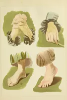 Picture 9 of 16 from Lessons in figure painting in water colours (1881), leaf 40