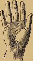 An illustration from Lessons in palmistry; studies of the eye and planetary influences (1901)