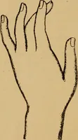 An illustration from Lessons in palmistry; studies of the eye and planetary influences (1901)