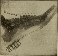 An illustration from Lessons in practical electricity; principles, experiments, and arithmetical problems, an elementary text-book (1902)