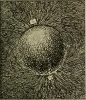 An illustration from Lessons in practical electricity; principles, experiments, and arithmetical problems, an elementary text-book (1902)