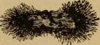 An illustration from Lessons in practical electricity; principles, experiments, and arithmetical problems; over four hundred illustrations; an elementary text book (1909)