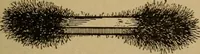 An illustration from Lessons in practical electricity; principles, experiments, and arithmetical problems; over four hundred illustrations; an elementary text book (1909)