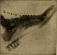 An illustration from Lessons in practical electricity; principles, experiments, and arithmetical problems; over four hundred illustrations; an elementary text book (1909)