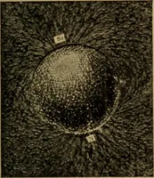 An illustration from Lessons in practical electricity; principles, experiments, and arithmetical problems; over four hundred illustrations; an elementary text book (1909)