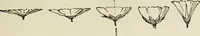 An illustration from Lessons on decorative design (1888)
