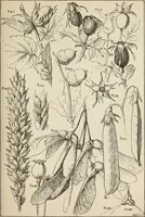 An illustration from Lessons on decorative design (1888)