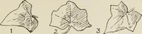 An illustration from Lessons on decorative design (1888)