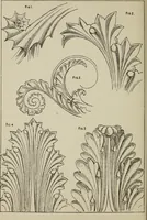 An illustration from Lessons on decorative design (1888)