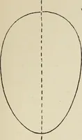 An illustration from Lessons on decorative design (1888)