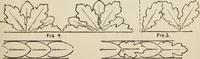 An illustration from Lessons on decorative design (1888)