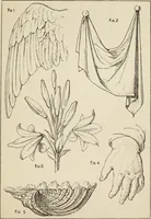 An illustration from Lessons on decorative design (1888)
