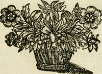 Picture 44 of 53 from Les Tableavx de la penitence (1654), leaf 423