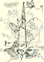 Picture 33 of 58 from L'estampe satirique et la caricature en France au 18e siècle; préf. de Maurice Tourneux (1910), leaf 68