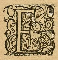 An illustration from Les terrevrs panniqves de cevx qui pensent que l'alliance d'Espagne doiue mettre la guerre en France (1615)