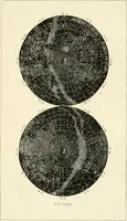 An illustration from Les étoiles; essai d'astronomie sidérale (1895)