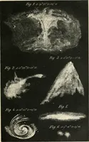 An illustration from Les étoiles; essai d'astronomie sidérale (1895)