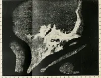 An illustration from Les étoiles; essai d'astronomie sidérale (1895)
