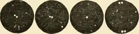 An illustration from Les étoiles; essai d'astronomie sidérale (1895)