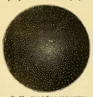 An illustration from Les étoiles et les curiosités du ciel; description complète du ciel visible à l'il nu et de tous les objets célestes faciles à observer; (1882)