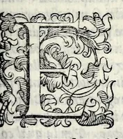 Picture 5 of 9 from Le storie della citta di Firenze (1584), leaf 109