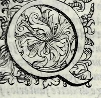 Picture 6 of 9 from Le storie della citta di Firenze (1584), leaf 131