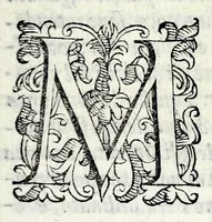 Picture 8 of 9 from Le storie della citta di Firenze (1584), leaf 281
