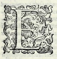 Picture 9 of 9 from Le storie della citta di Firenze (1584), leaf 393