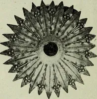 An illustration from Le style Louis XVI : ouvrage orne de 160 gravures environ (1900)
