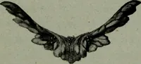 An illustration from Le style Louis XVI : ouvrage orne de 160 gravures environ (1900)