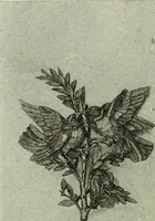 An illustration from Le style Louis XVI : ouvrage orne de 160 gravures environ (1900)