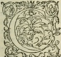 An illustration from Les Vies des hommes illustres, grecs et romains, comparées l'une avec l'autre (1567)