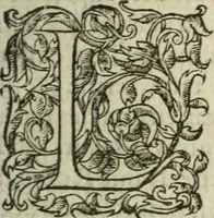 An illustration from Les Vies des hommes illustres, grecs et romains, comparées l'une avec l'autre (1567)