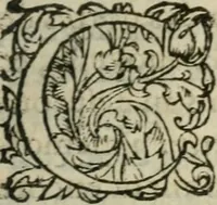 An illustration from Les Vies des hommes illustres, grecs et romains, comparées l'une avec l'autre (1567)