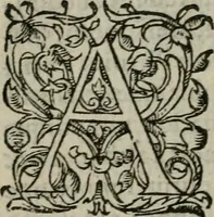 An illustration from Les Vies des hommes illustres, grecs et romains, comparées l'une avec l'autre (1567)