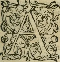 An illustration from Les Vies des hommes illustres, grecs et romains, comparées l'une avec l'autre (1567)
