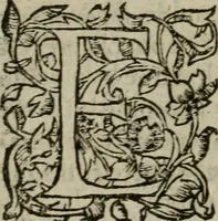 An illustration from Les Vies des hommes illustres, grecs et romains, comparées l'une avec l'autre (1567)