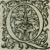 An illustration from Les Vies des hommes illustres, grecs et romains, comparées l'une avec l'autre (1567)
