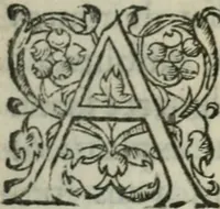 An illustration from Les Vies des hommes illustres, grecs et romains, comparées l'une avec l'autre (1567)