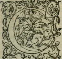 An illustration from Les Vies des hommes illustres, grecs et romains, comparées l'une avec l'autre (1567)