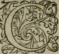 An illustration from Les Vies des hommes illustres, grecs et romains, comparées l'une avec l'autre (1567)