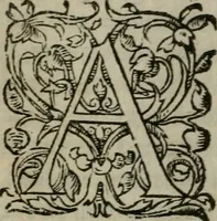 An illustration from Les Vies des hommes illustres, grecs et romains, comparées l'une avec l'autre (1567)