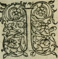 Picture 17 of 20 from Les Vies des hommes illustres, grecs et romains, comparées l'une avec l'autre (1567), leaf 456