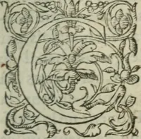 An illustration from Les Vies des hommes illustres, grecs et romains, comparées l'une avec l'autre (1567)