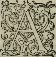 An illustration from Les Vies des hommes illustres, grecs et romains, comparées l'une avec l'autre (1567)