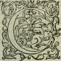 An illustration from Les Vies des hommes illustres, grecs et romains, comparées l'une avec l'autre (1567)