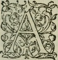 An illustration from Les Vies des hommes illustres, grecs et romains, comparées l'une avec l'autre (1567)