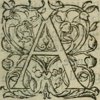 Picture 3 of 18 from Les Vies des hommes illustres, grecs et romains, comparées l'une avec l'autre (1567), leaf 8